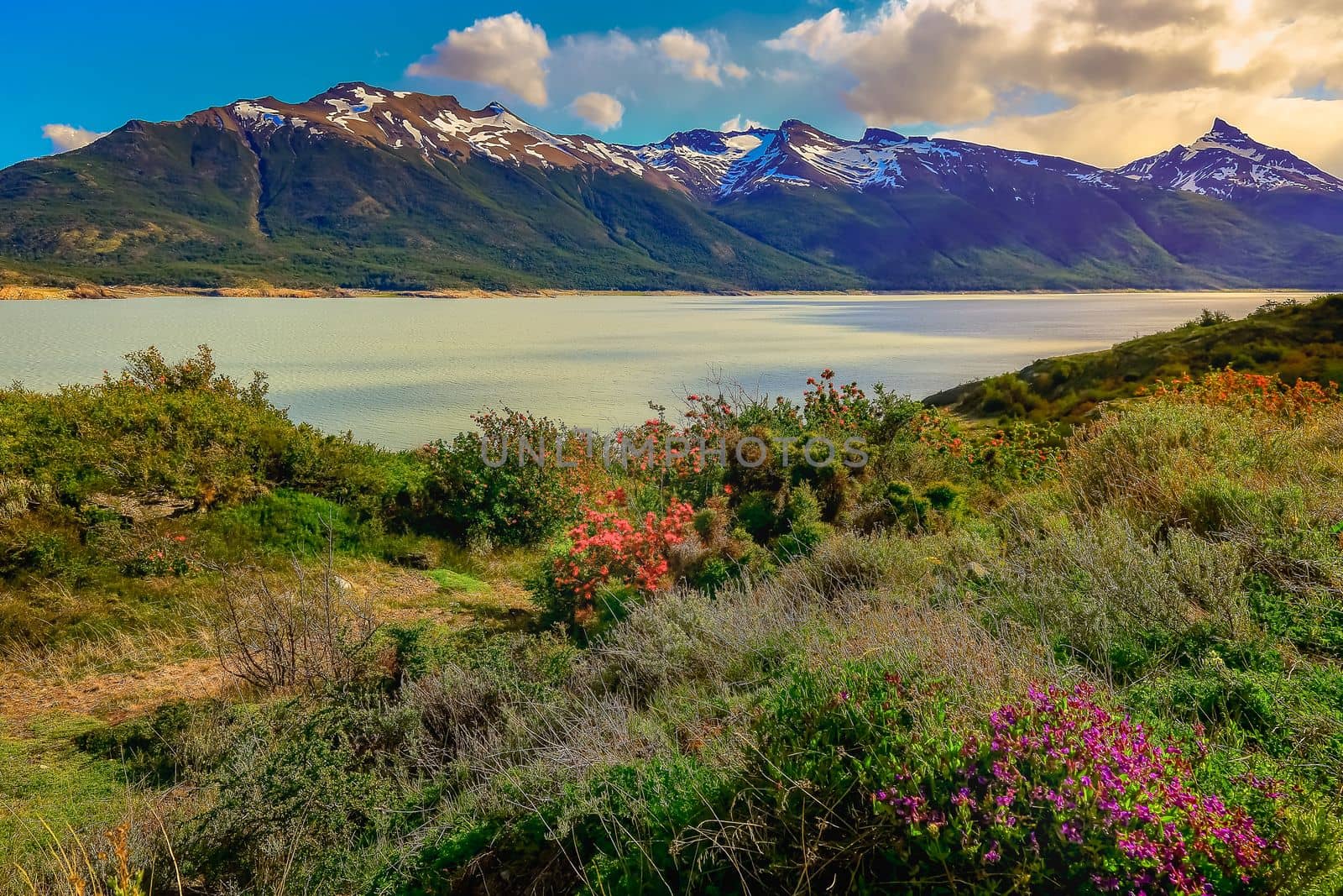 Snowcapped Andes and Lake Argentina near El calafate, Patagonia landscape, South America