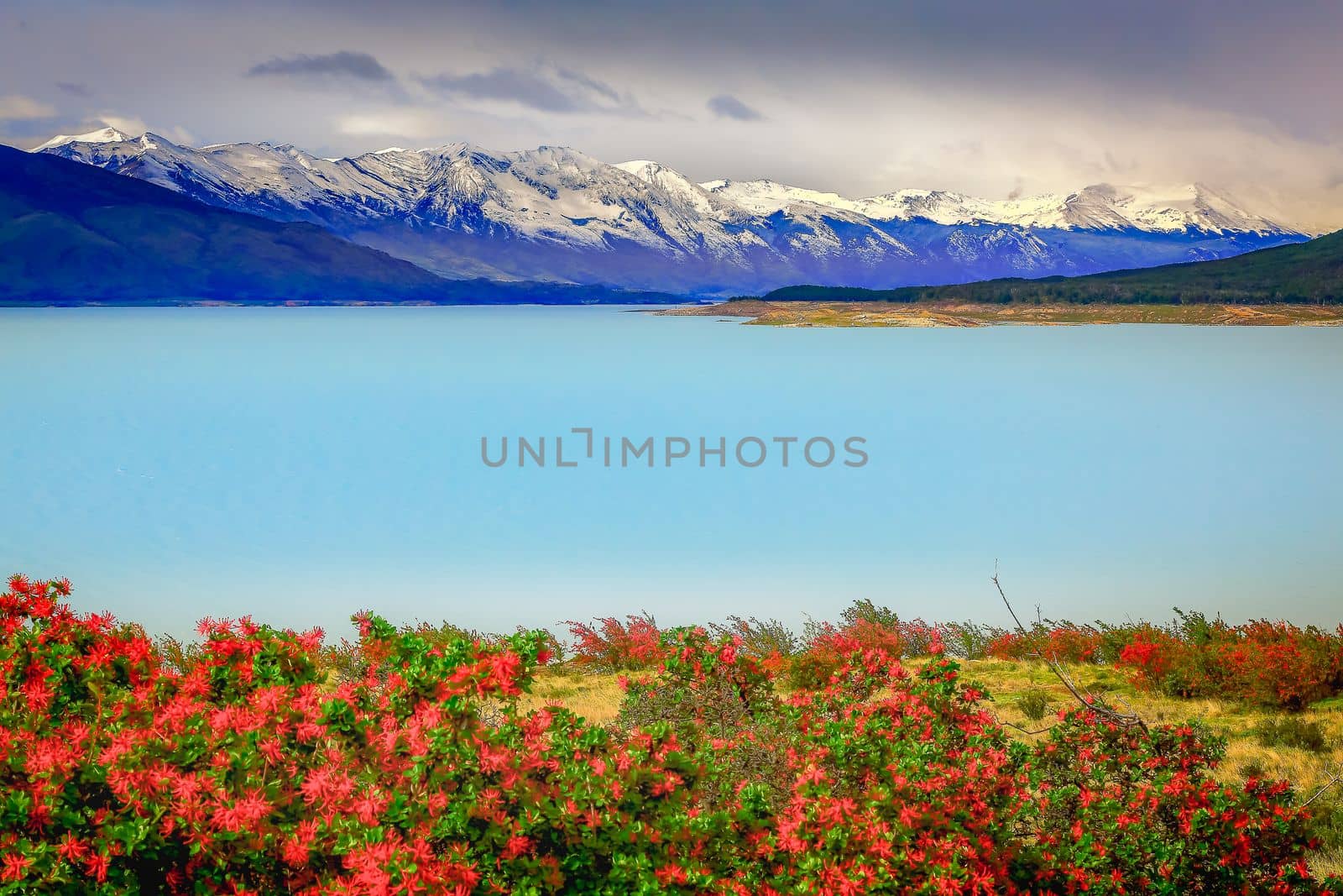 Snowcapped Andes and Lake Argentina near El calafate, Patagonia landscape, South America