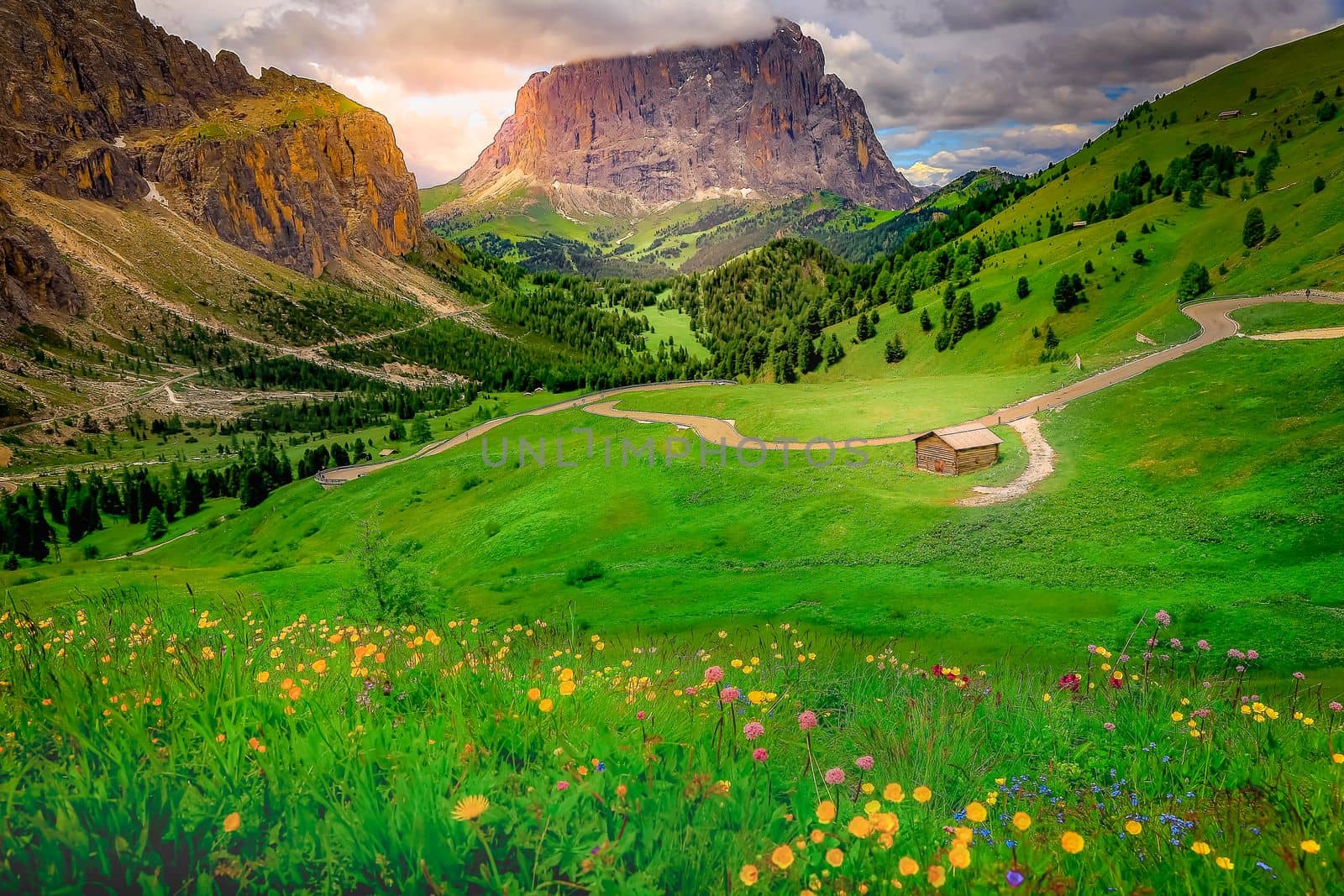 Langkofel, Sassolungo pinnacles, Dolomites sudtirol, Pordoi Pass near Cortina d Ampezzo, Italy
