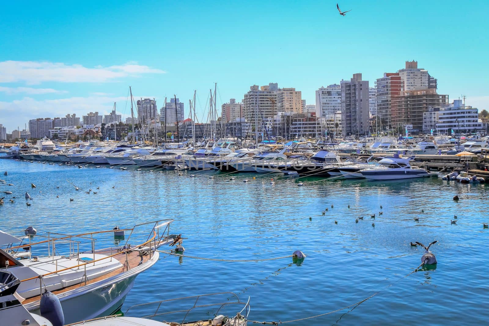 City and Marina panorama of Punta Del Este bay at sunny day, Uruguay