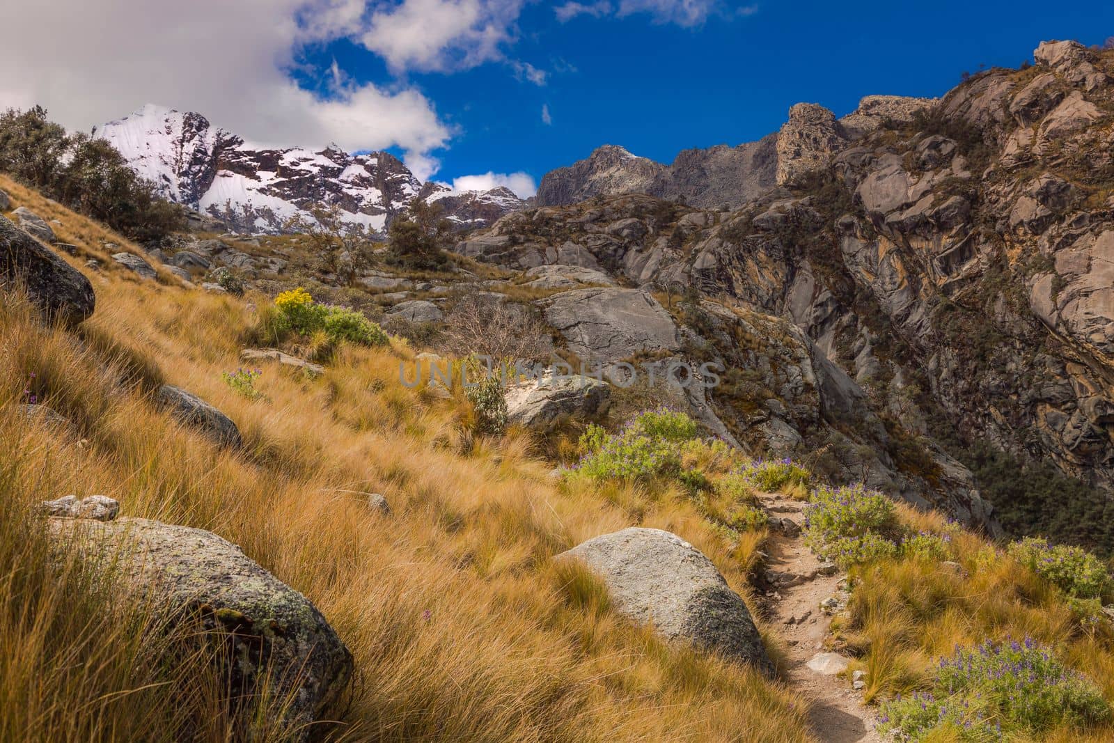 Trekking path, mountain pass in Huascaran, Cordillera Blanca, snowcapped Andes, Ancash Peru