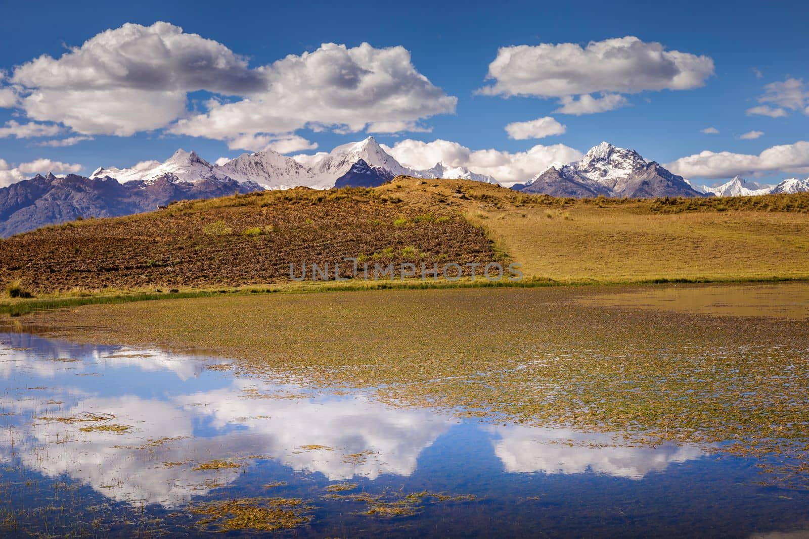Turquoise laguna Wilcacocha with mirrored reflection in Cordillera Blanca, snowcapped Andes, Ancash, Peru