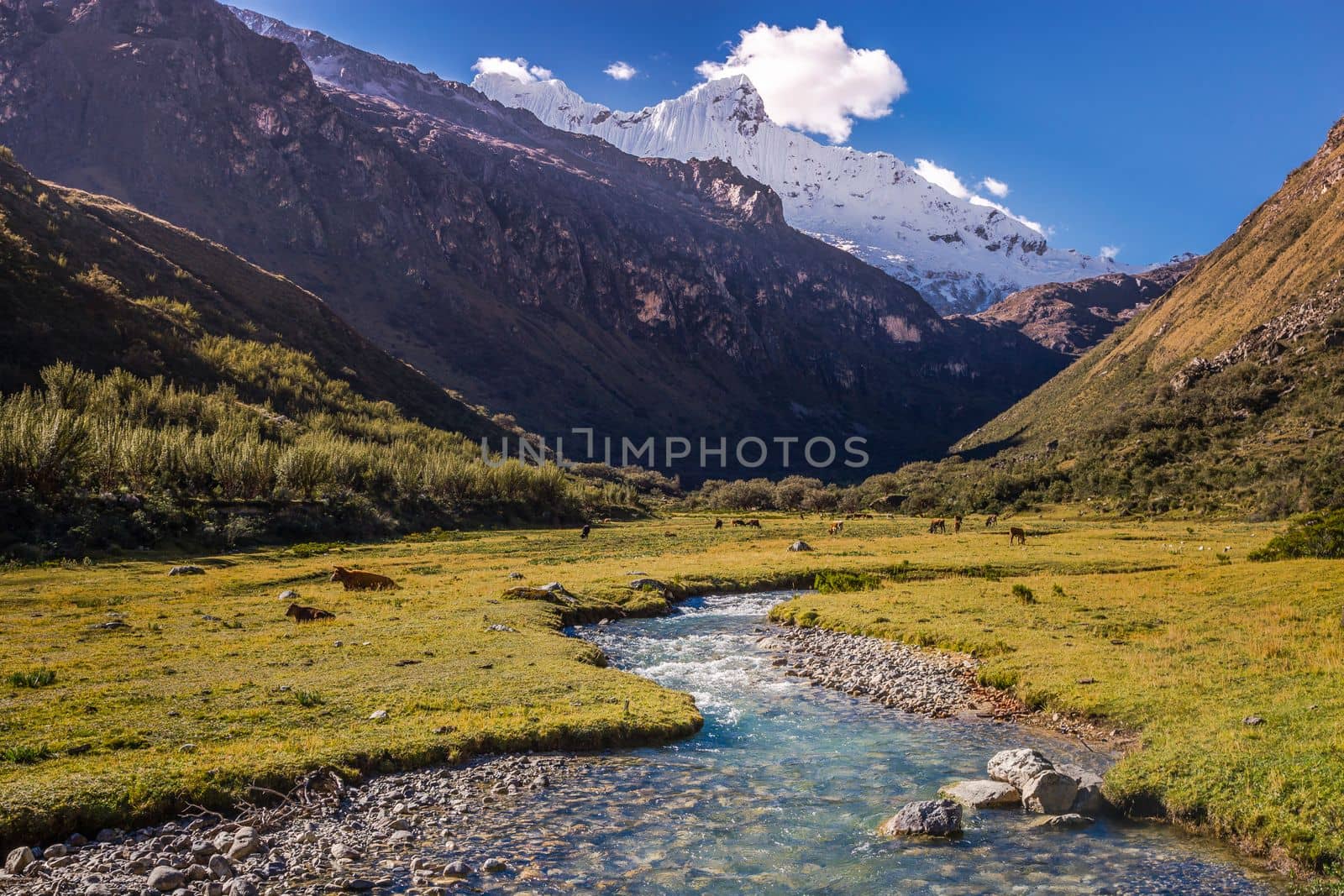 River and Huascaran Mountain massif in Cordillera Blanca, snowcapped Andes, Ancash, Peru, South America