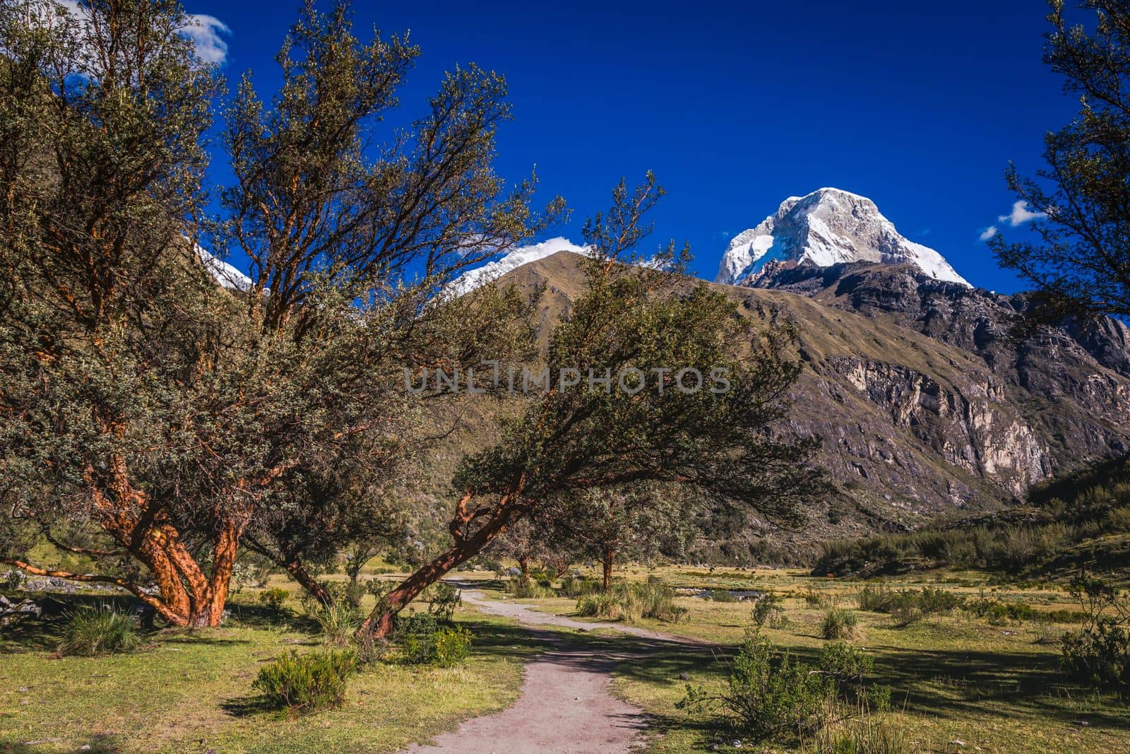 Trekking path, mountain pass in Huascaran, Cordillera Blanca, snowcapped Andes, Ancash Peru