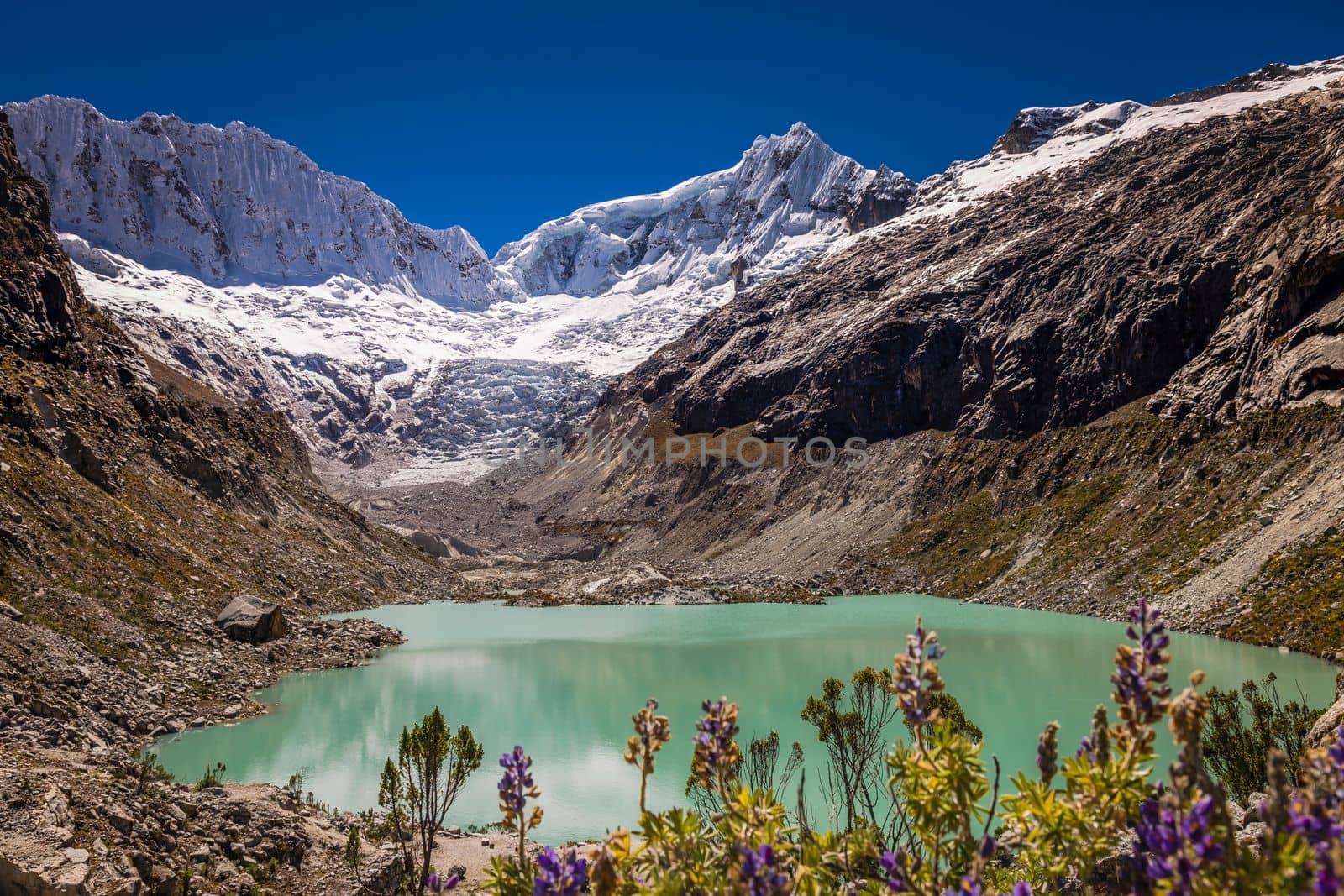 Idyllic laguna Llaca in Cordillera Blanca, snowcapped Andes, Ancash, Peru