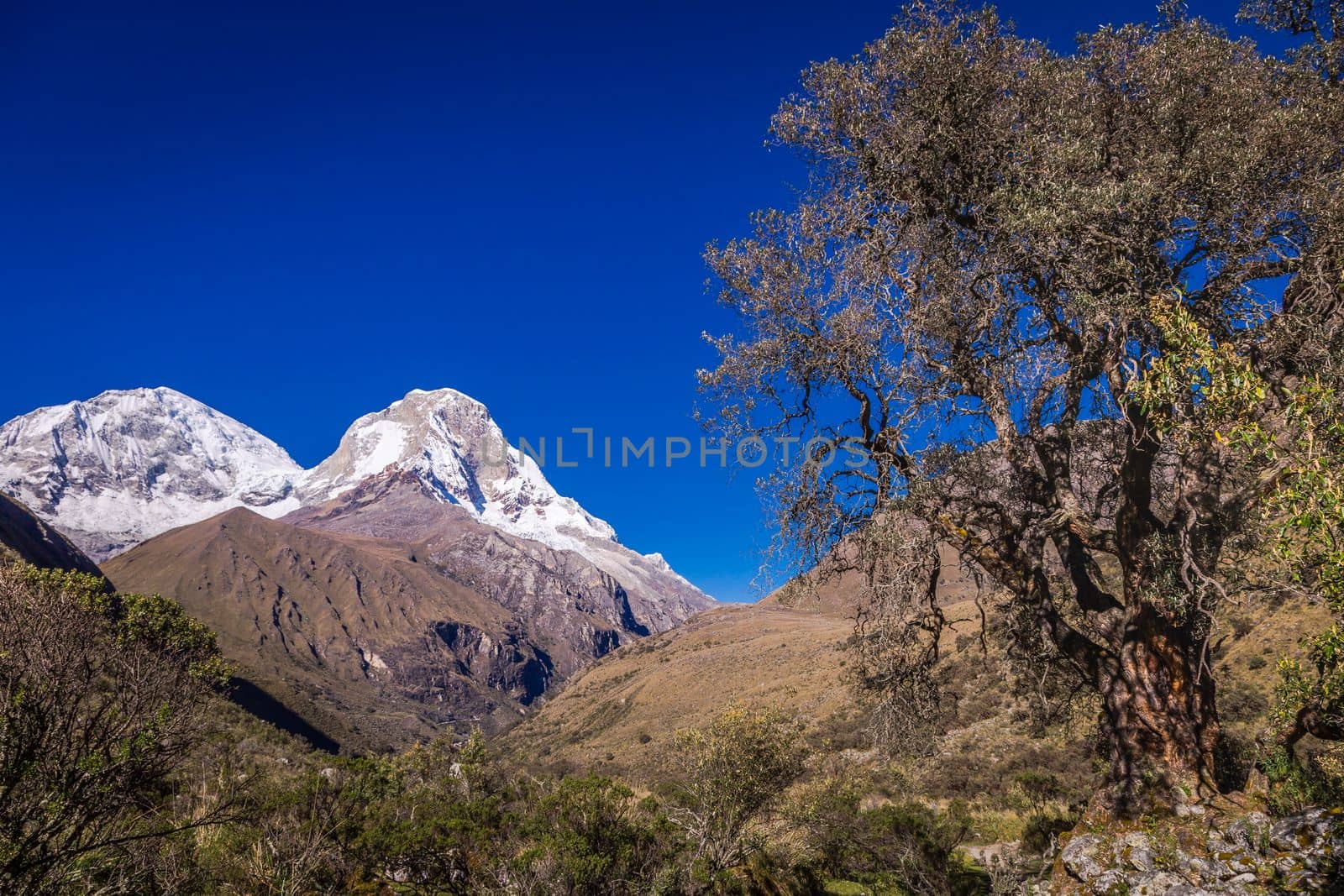 Huascaran Mountain massif in Cordillera Blanca, snowcapped Andes, Ancash, Peru, South America