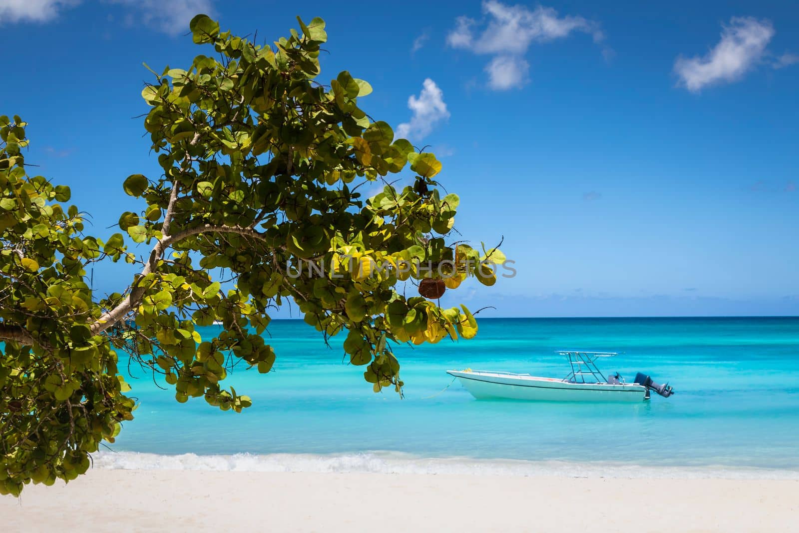 Tropical paradise, sand beach in caribbean Saona Island, Punta Cana, Dominican by positivetravelart