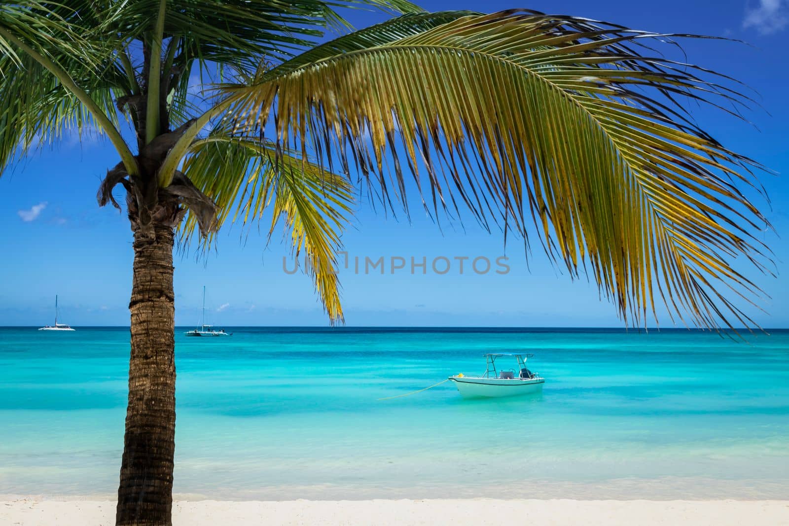 Tropical paradise, sand beach in caribbean Saona Island, Punta Cana, Dominican Republic