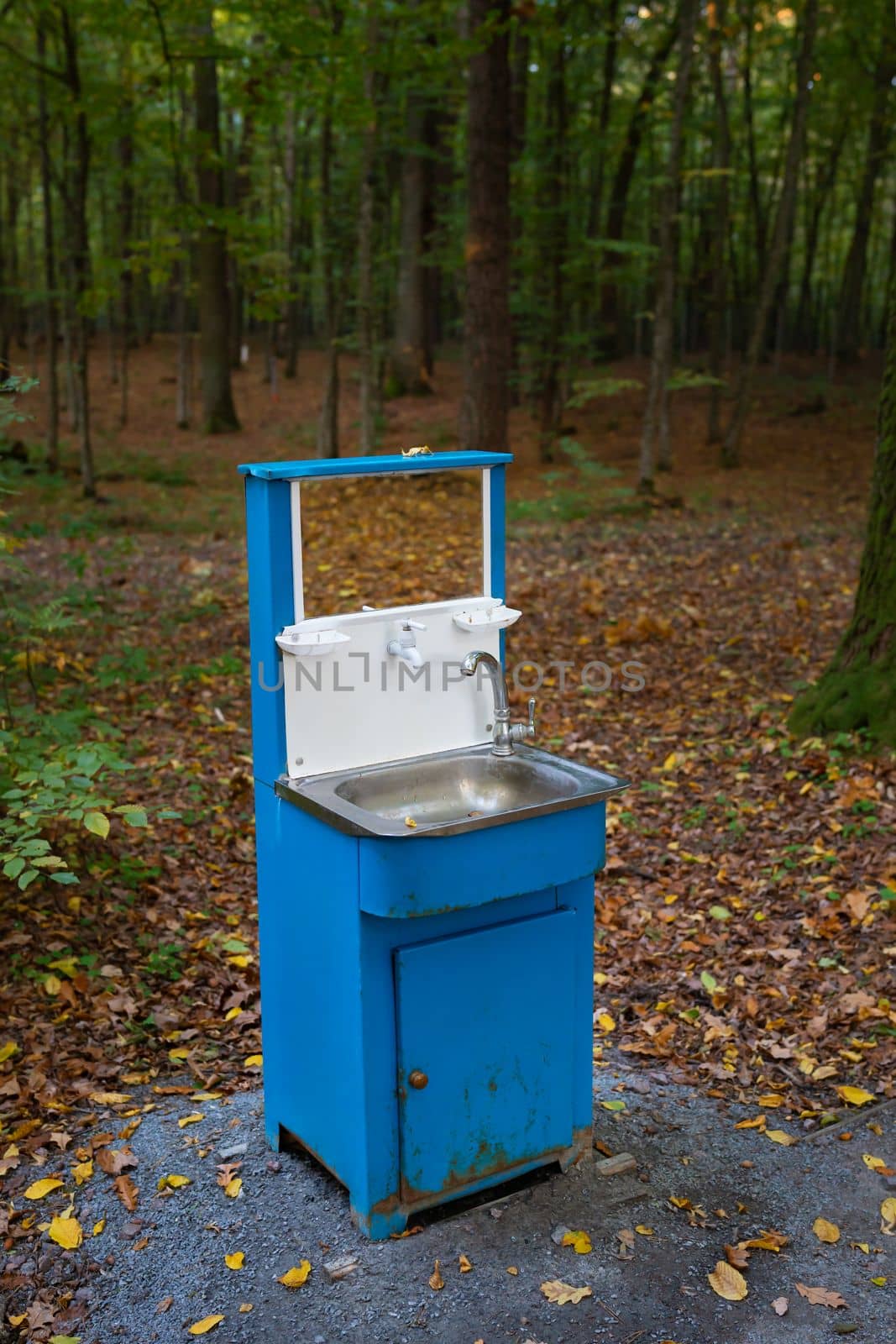 Eco-tourism and recreation. A blue washbasin with a mirror in the middle of a dense green forest. by sfinks