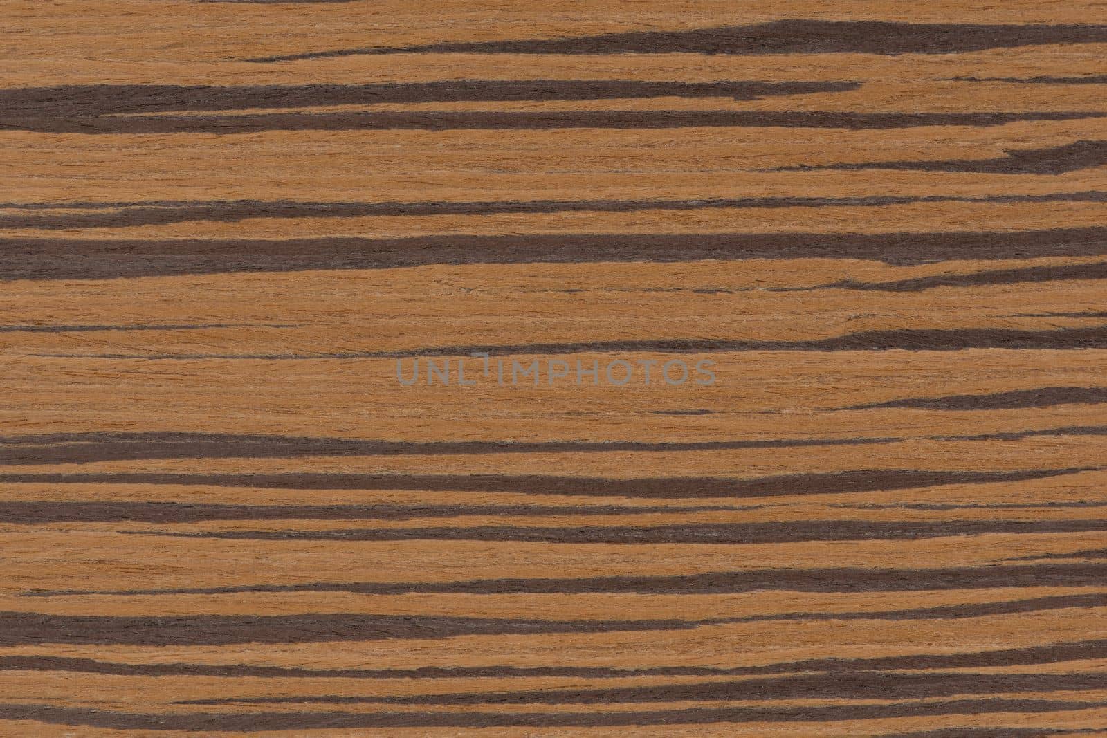 Zebra tree. Texture of brown wood with horizontal black stripes. African zebrano wood texture on macro. Photo in very high resolution