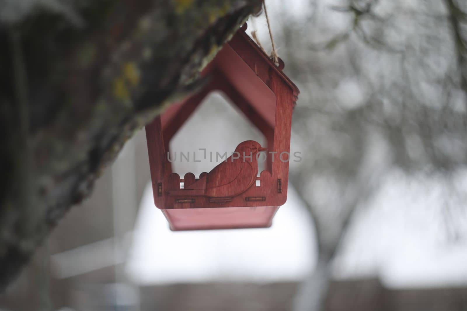 Close-up of a bird feeder on a tree under the snow in the forest