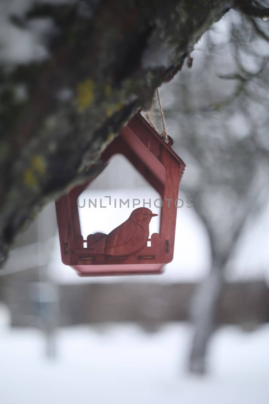 Close-up of a bird feeder on a tree under the snow in the forest