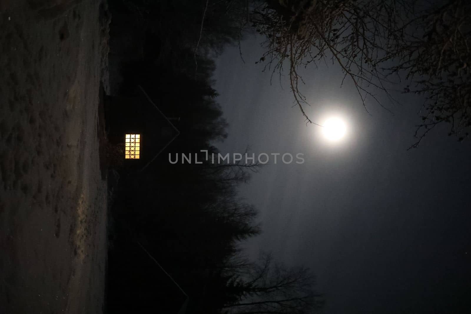 Old house in the forest at night. Old mystic building in night tree forest with moon