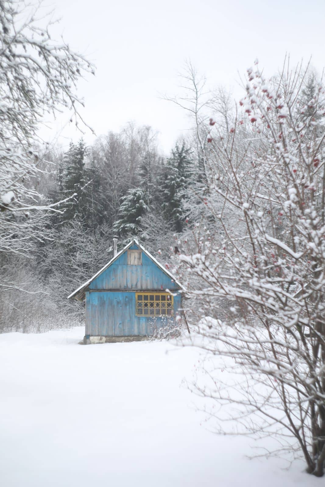 winter landscape panorama with wooden house in the forest. Snow covered hut. Christmas holiday and winter vacations concept.