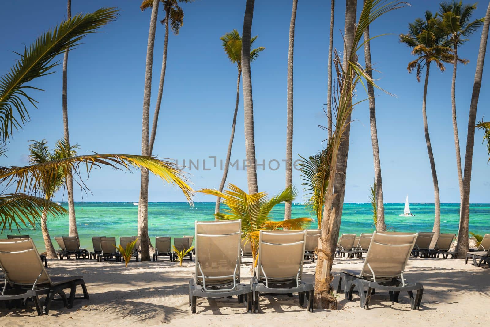 Bavaro Tropical beach in Punta Cana at sunny day, Caribbean sea, Dominican Republic