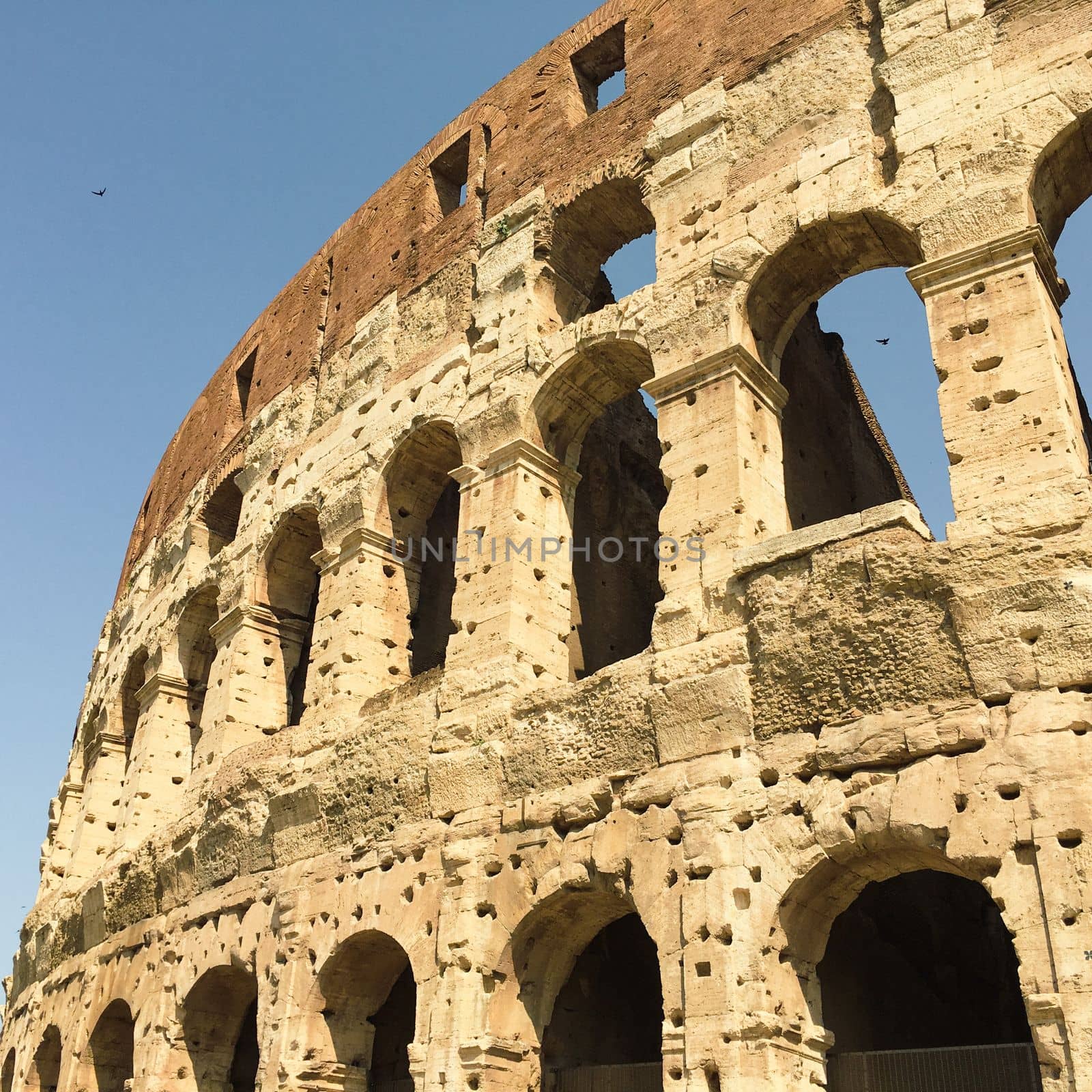 rome italy colliseum ruins of amphiteature and architecture . High quality photo