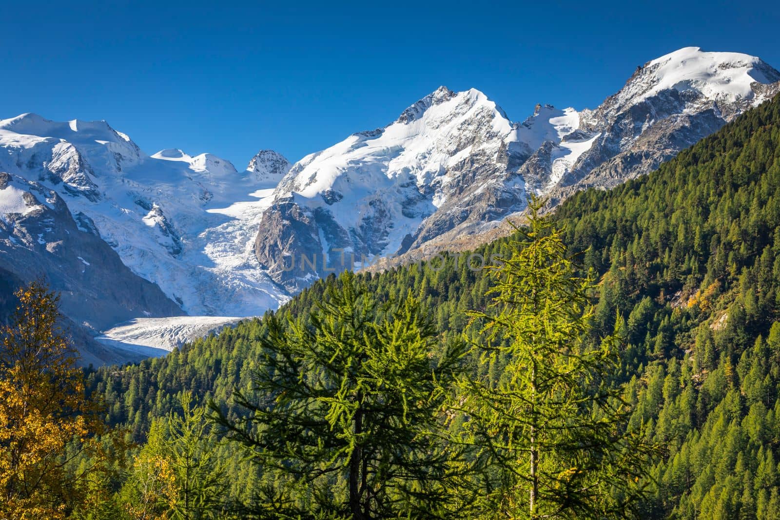 Bernina and Palu mountain range with glaciers in the Swiss Alps, Engadine, Switzerland
