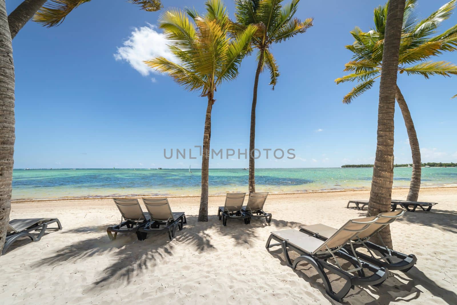 Bavaro Tropical beach in Punta Cana at sunny day, Caribbean sea, Dominican Republic