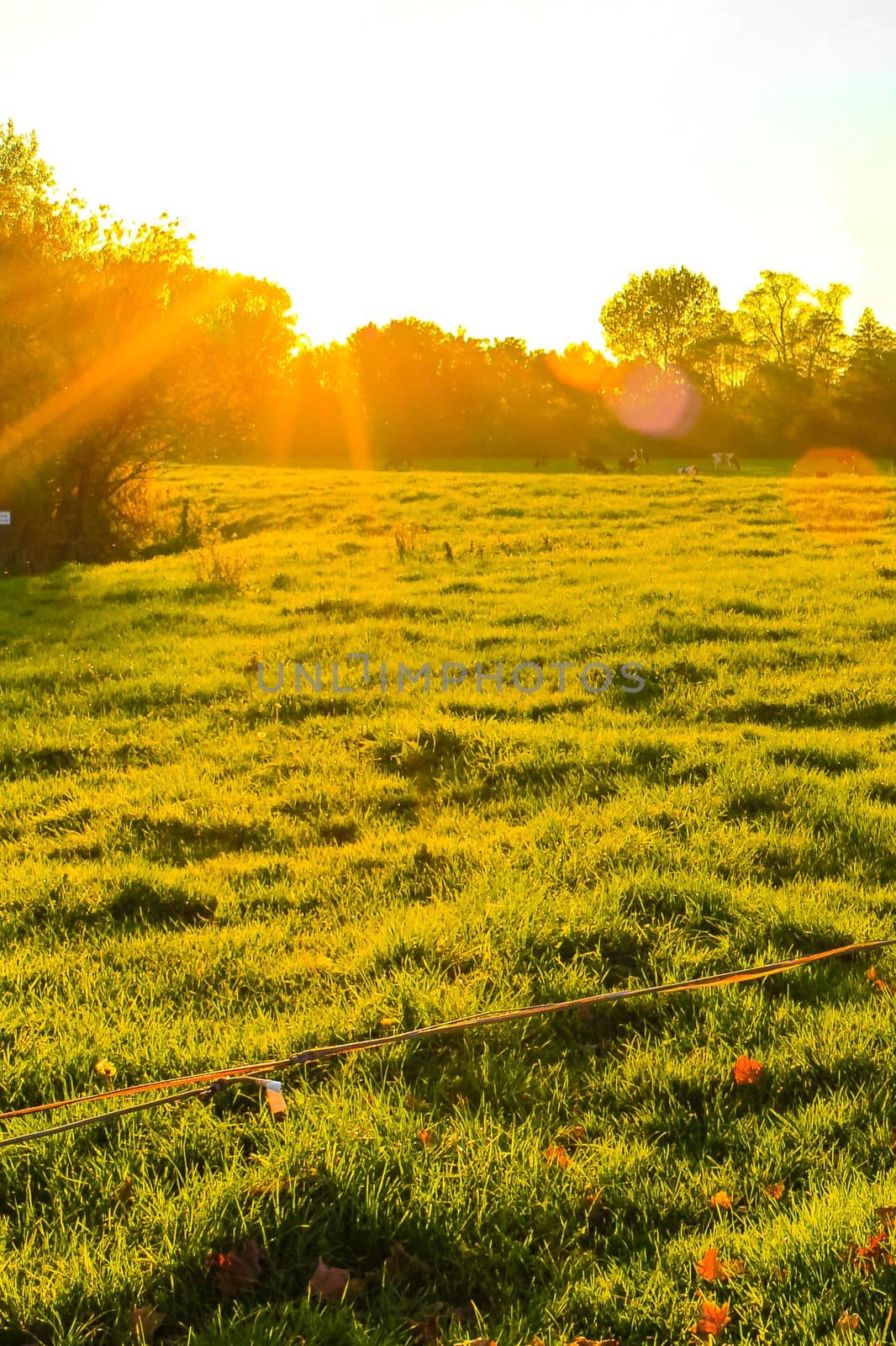 Beautiful orange golden sunset behind fields meadows and forests in summer on Harrier Sand island in Schwanewede Osterholz Germany.