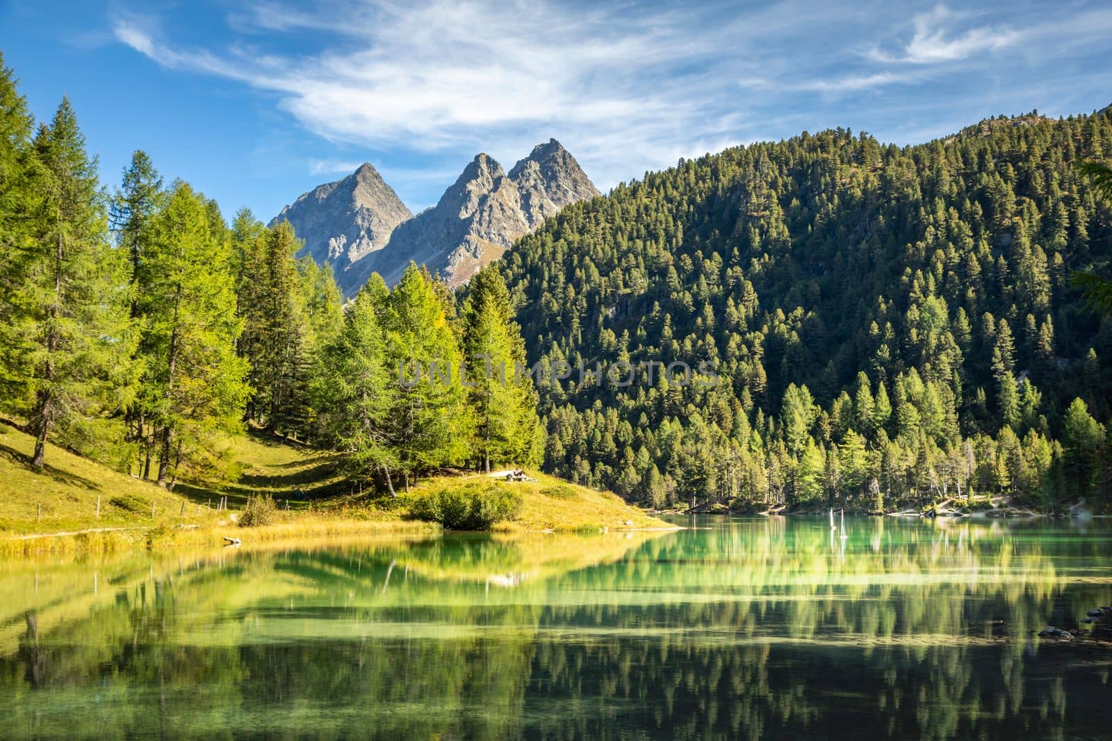 Alpine Lake Palpuogna at Albula Pass in Graubunden swiss alps, Grisons, Switzerland