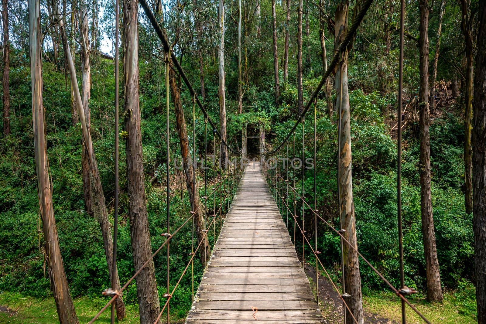 hanging wooden bridge in the forest. 