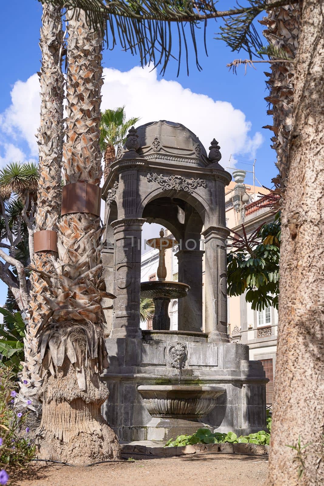 Outdoor fountain with medieval architecture and palm trees at Plaza del Espiritu Santo in Vegueta, Las Palmas de Gran Canaria, Spain