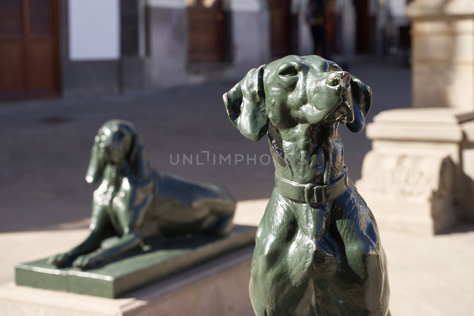 Las Palmas de Gran Canaria, Spain - September 18, 2022: Iron canarian dogs statues on Plaza Santa Ana, modelled after the Canarian hounds that were originally on the island when the Spanish settled.