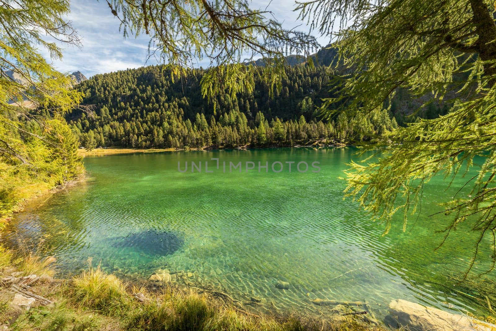 Alpine Lake Palpuogna at Albula Pass in Graubunden swiss alps, Grisons, Switzerland