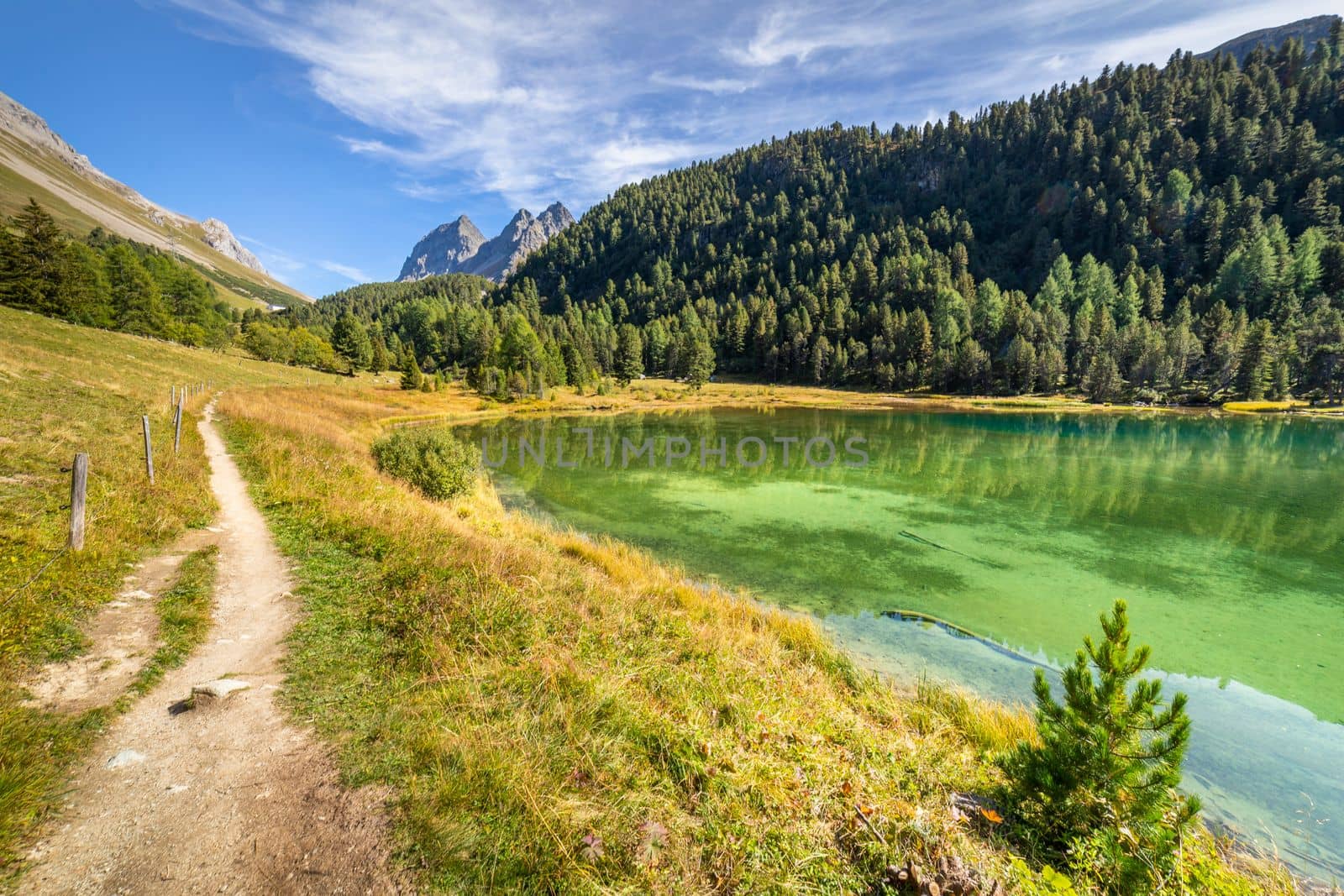 Alpine Lake Palpuogna at Albula Pass in Graubunden swiss alps, Grisons, Switzerland