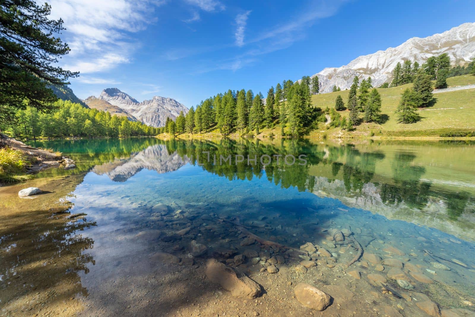 Alpine Lake Palpuogna at Albula Pass in Graubunden swiss alps, Grisons, Switzerland