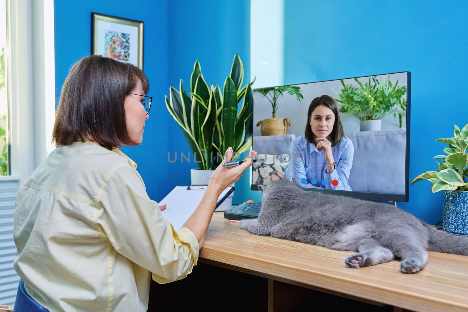 Middle aged woman having video conference with young female by VH-studio