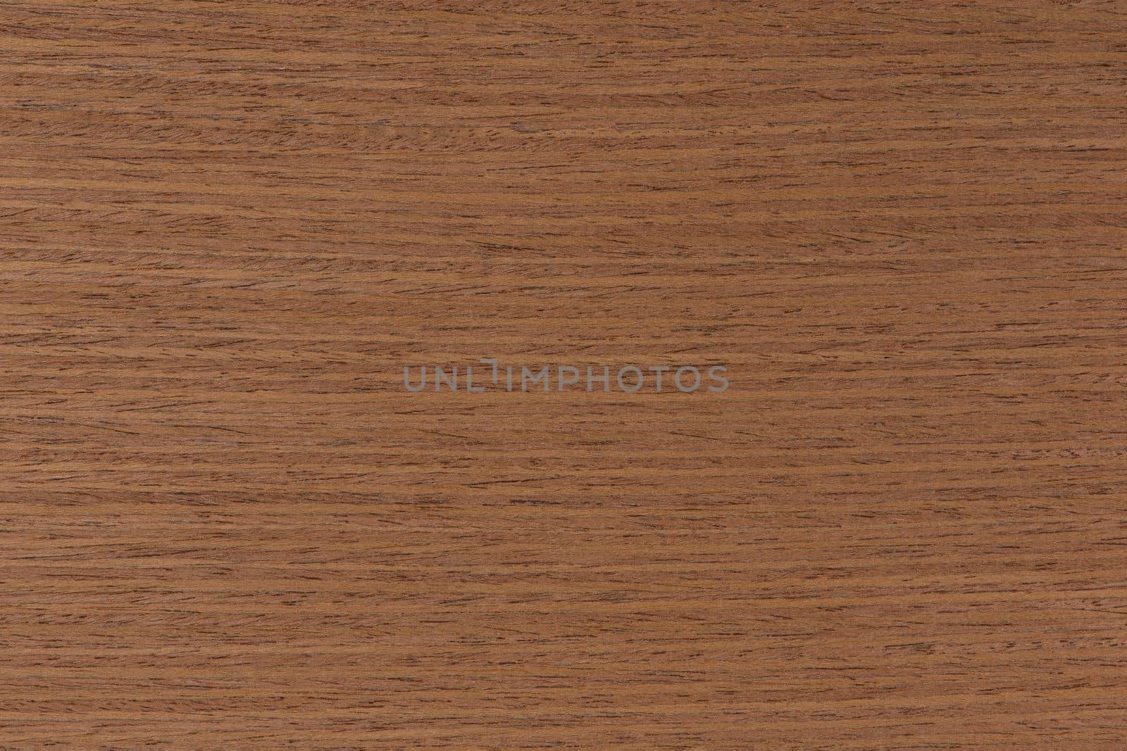 Dark brown walnut wood texture, natural wood pattern for making furniture, parquet or doors. Top view of natural veneer. by SERSOL