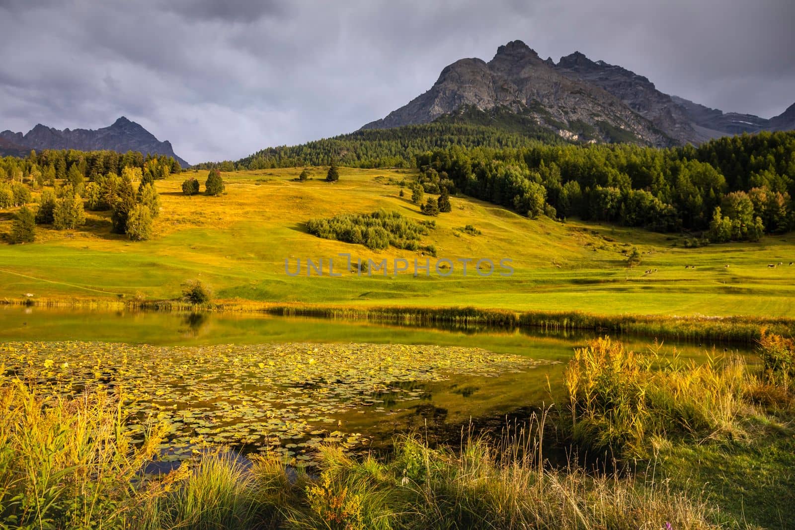 Panoramic view of Dramatic landscape, swiss alps in upper Engadine, Graubunden, Switzerland