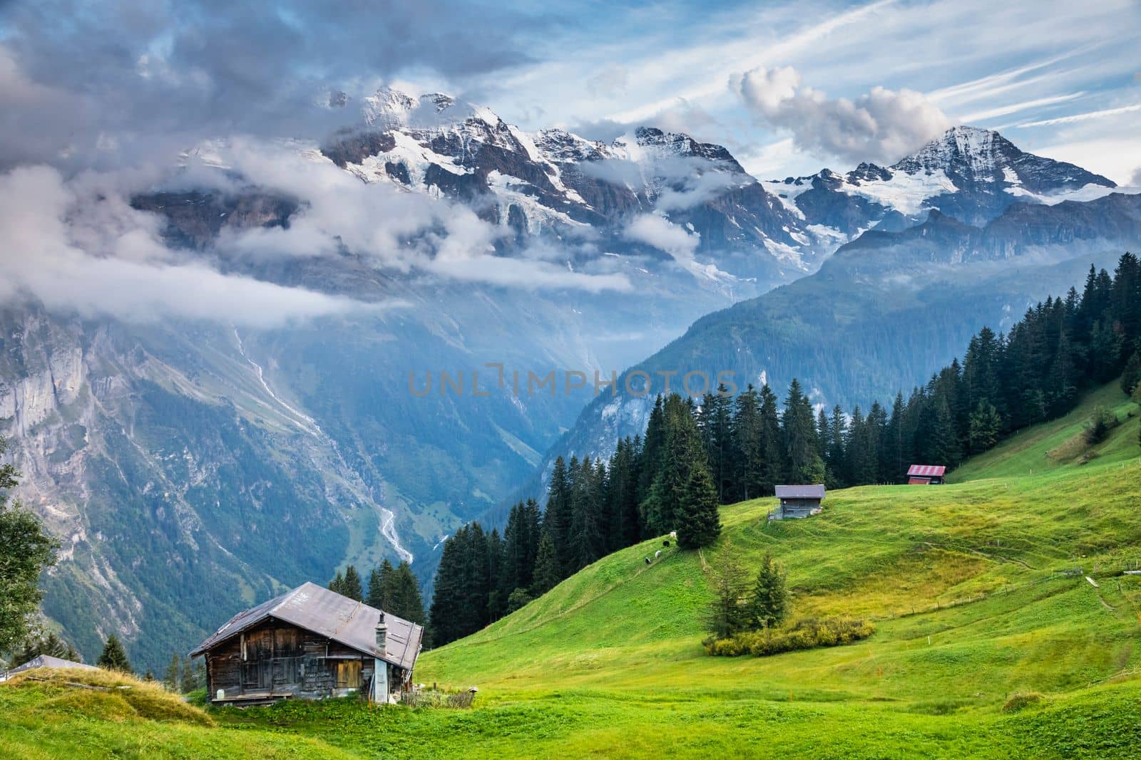 View of Snowcapped Bernese Swiss alps and Murren village, Switzerland