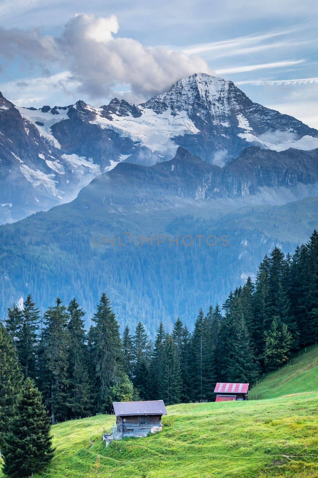 View of Snowcapped Bernese Swiss alps and alpine farms, Switzerland
