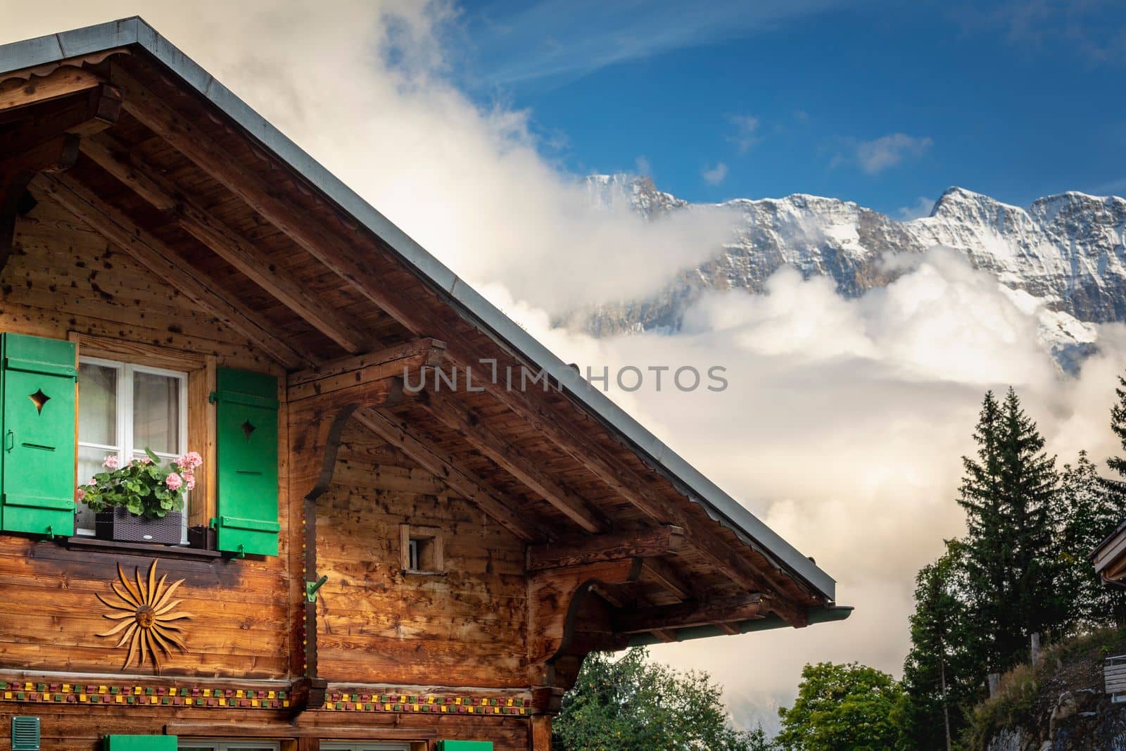 Colorful flowers in rustic chalet at springtime with mountains, Interlaken, Swiss alps