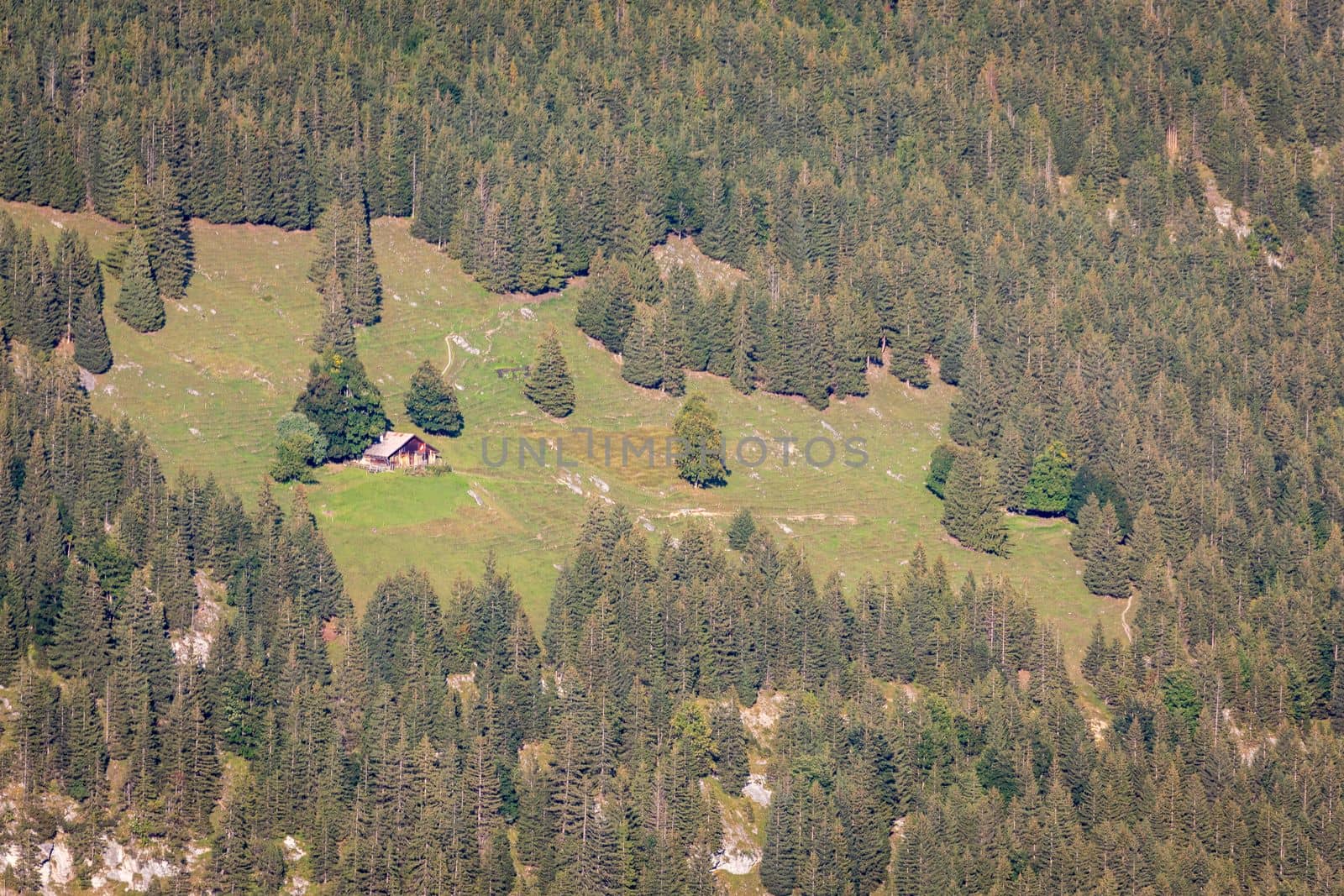 lonely farm above Lauterbrunnen idyllic valley, Bernese oberland, Swiss Alps, Switzerland