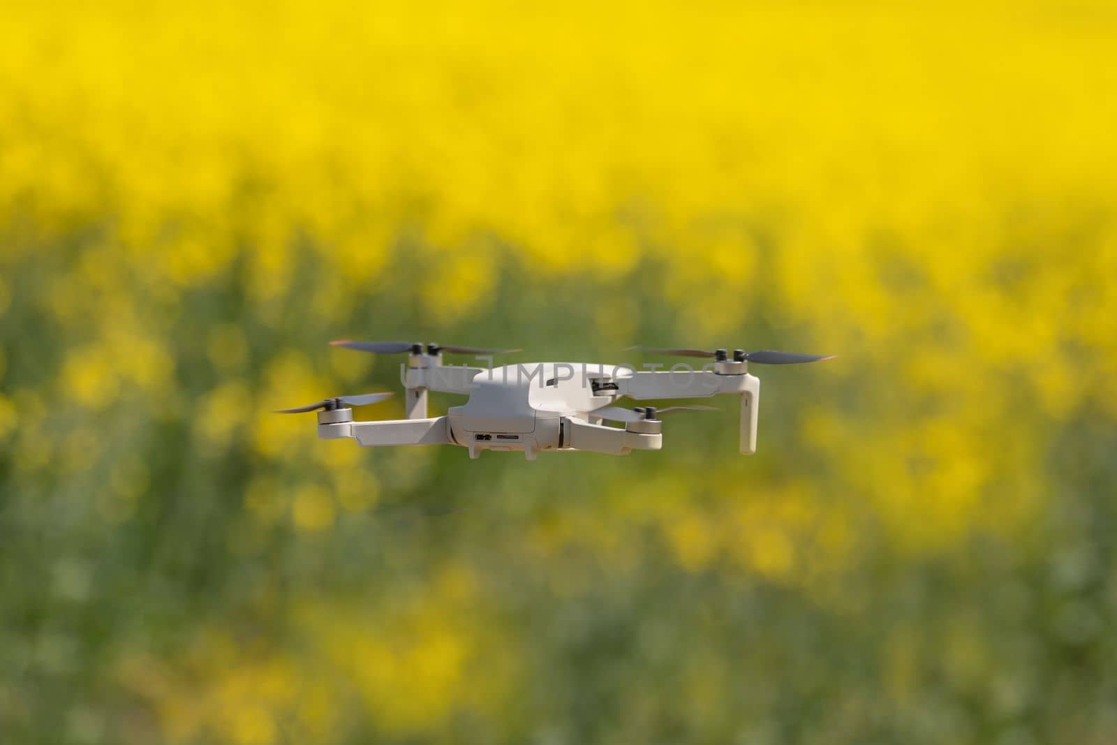 IInspection drone in Rapeseed field in bloom