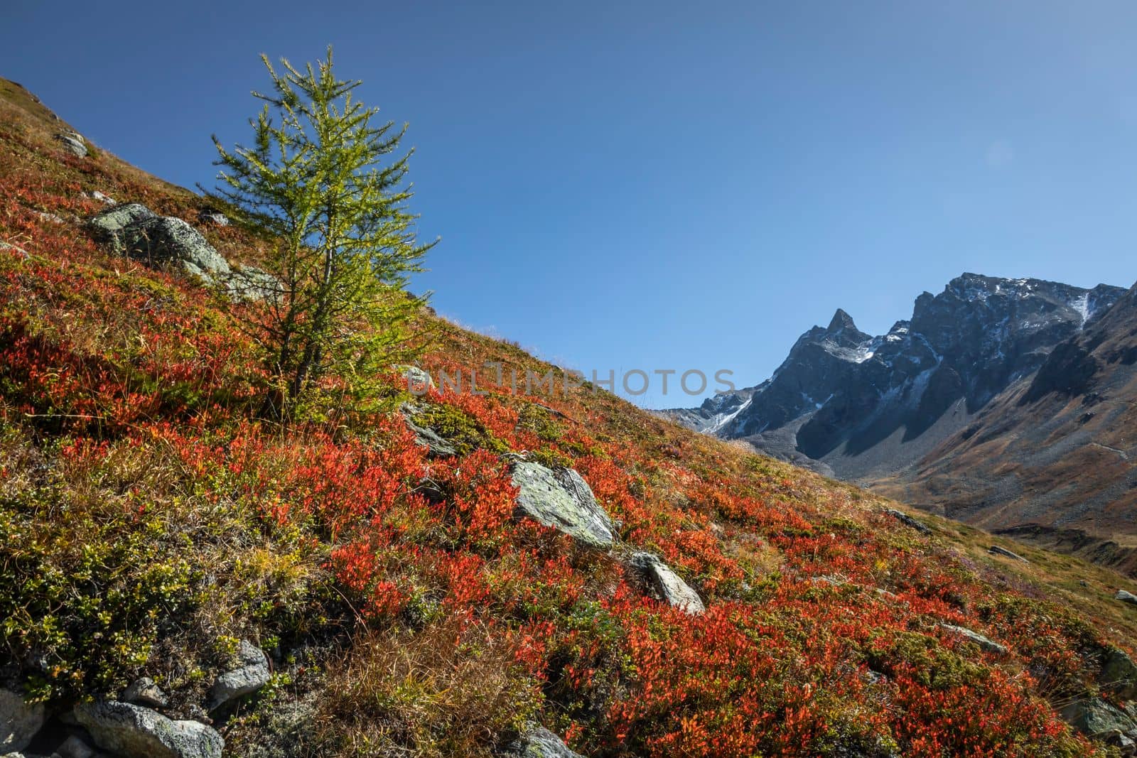 Panoramic view of Dramatic landscape, swiss alps in upper Engadine, Graubunden, Switzerland
