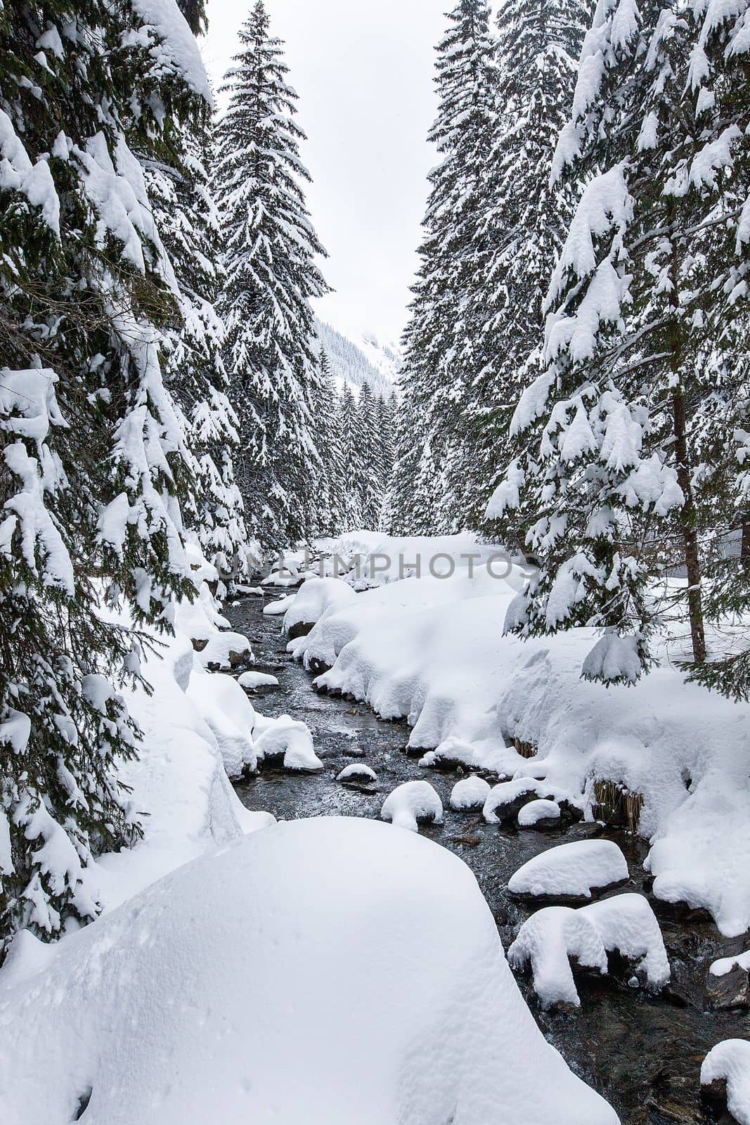 Turbulent river rapids in pictoresque forest during winter. Magical Landscape
