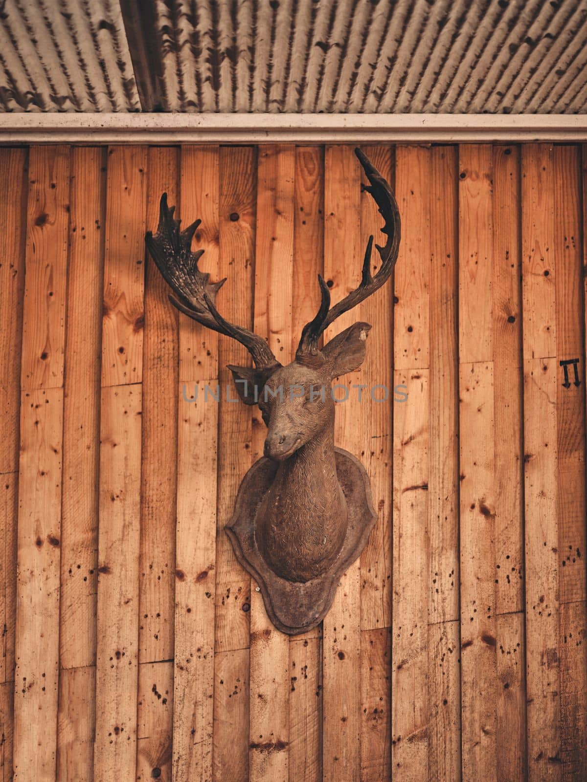 Decorative deer head on wooden wall by Hepjam