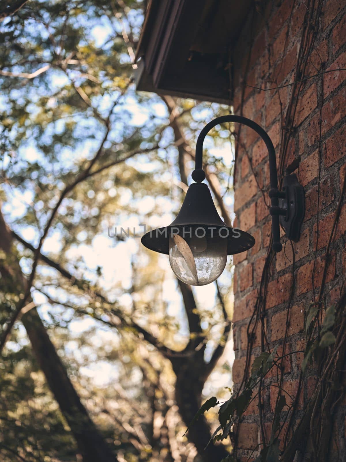 Garden Lanterns Home Decorate on the Wall with Sunlight and Nature Background . copy space for text 