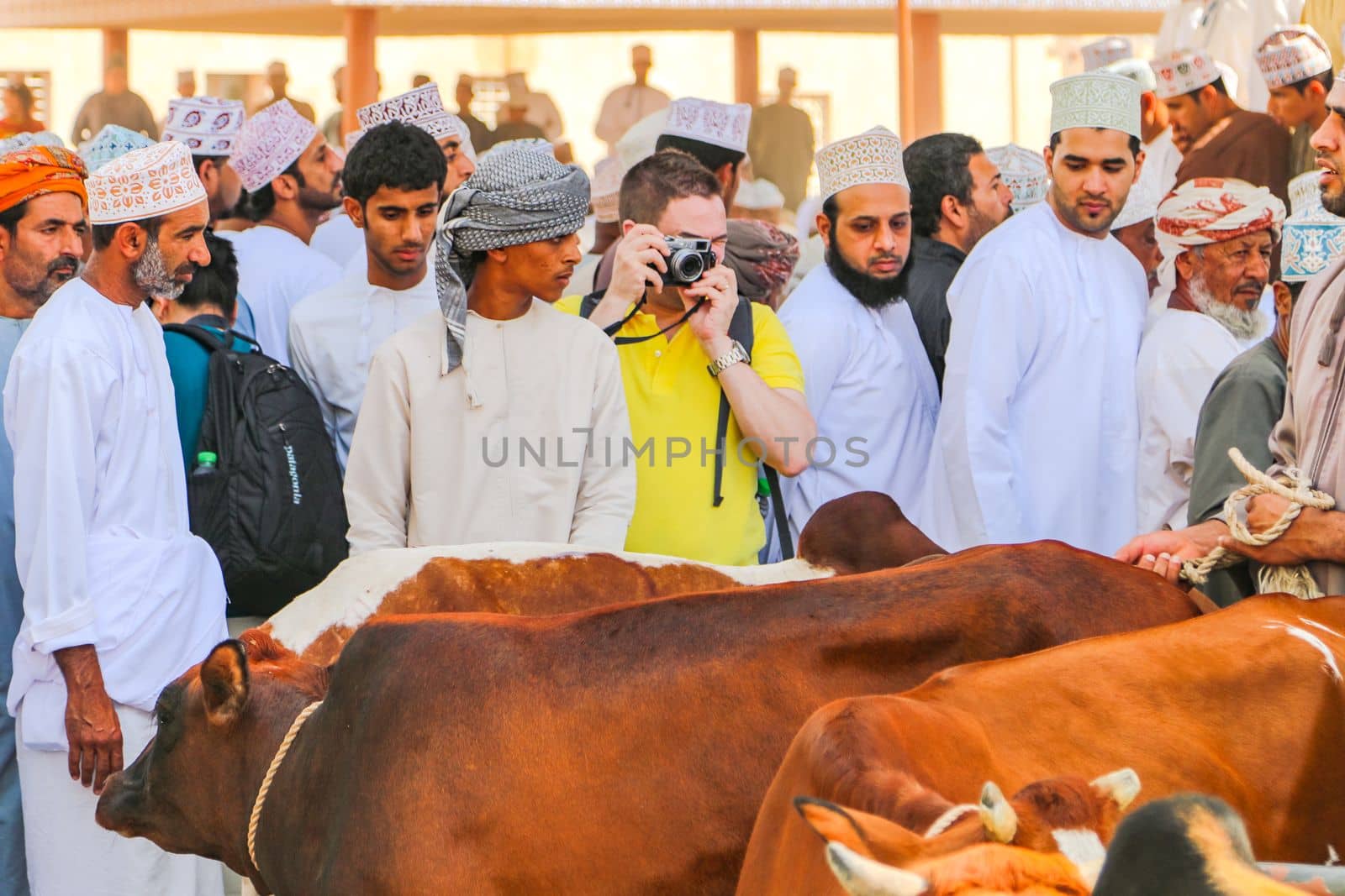 Single western tourist taking photo at the traditional goat market in Nizwa, Sultanate of Oman, Arabian Peninsula, Asia