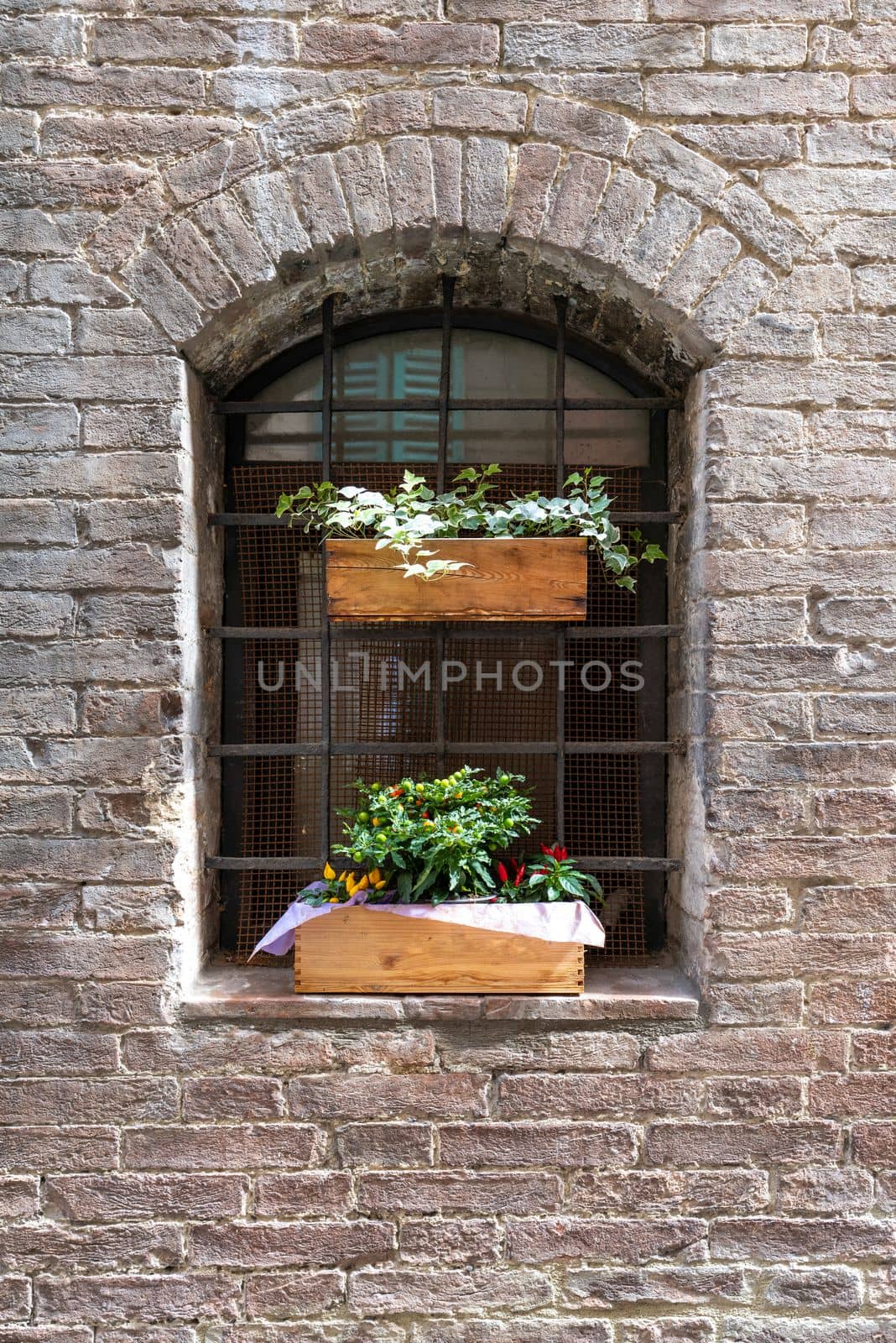 A window in an old brick wall was embellished with beautiful little blooming flowers in wooden boxes.