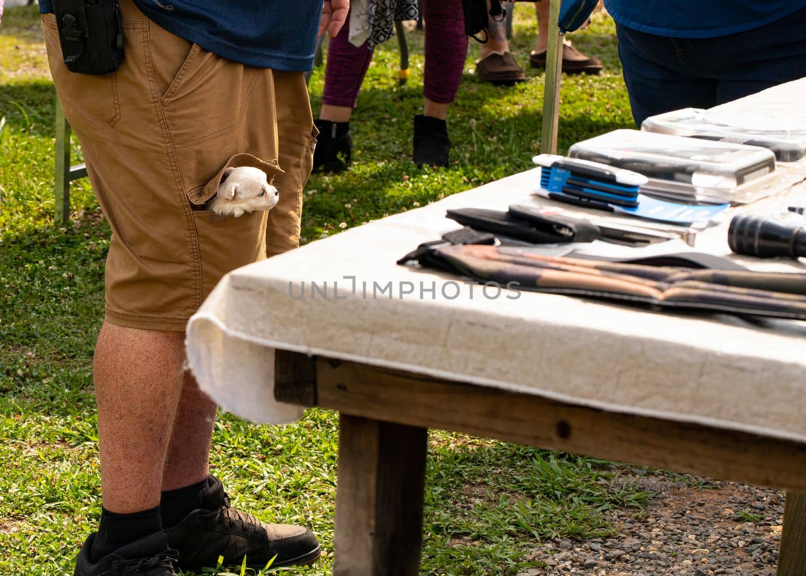 Tiny pocket passenger browses flea market wares.