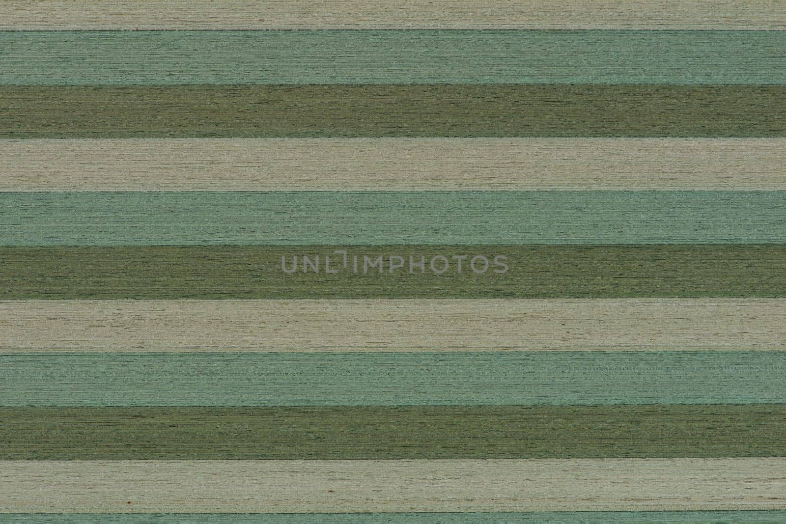 Striped green wood texture. Wooden shield glued from different types of wood in natural green color, top view.