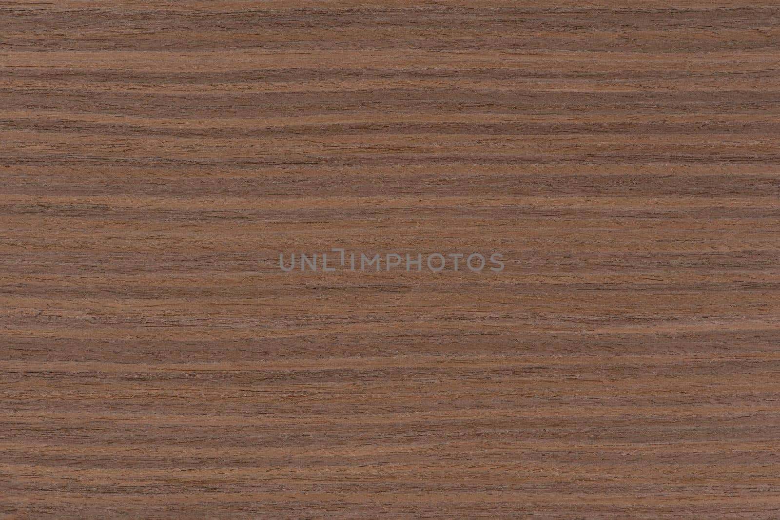 Dark brown walnut wood texture, natural wood pattern for making furniture, parquet or doors. Top view of natural veneer. by SERSOL