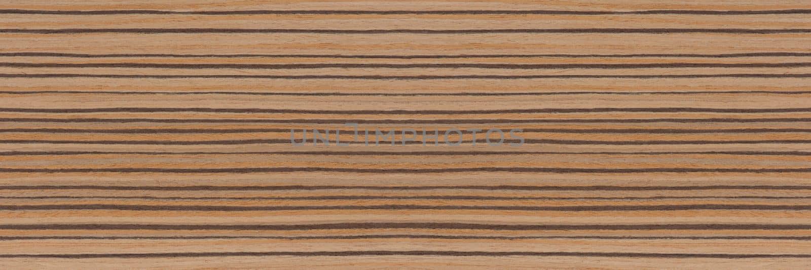 Zebra tree. Texture of brown wood with horizontal black stripes. African zebrano wood texture on macro. Photo in very high resolution