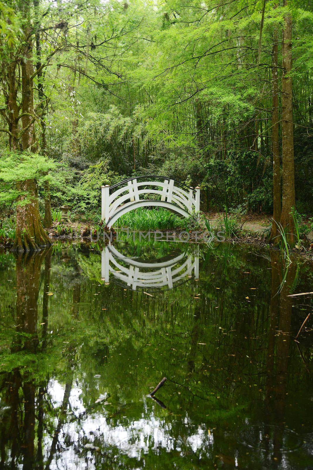 white bridge in swamp by porbital