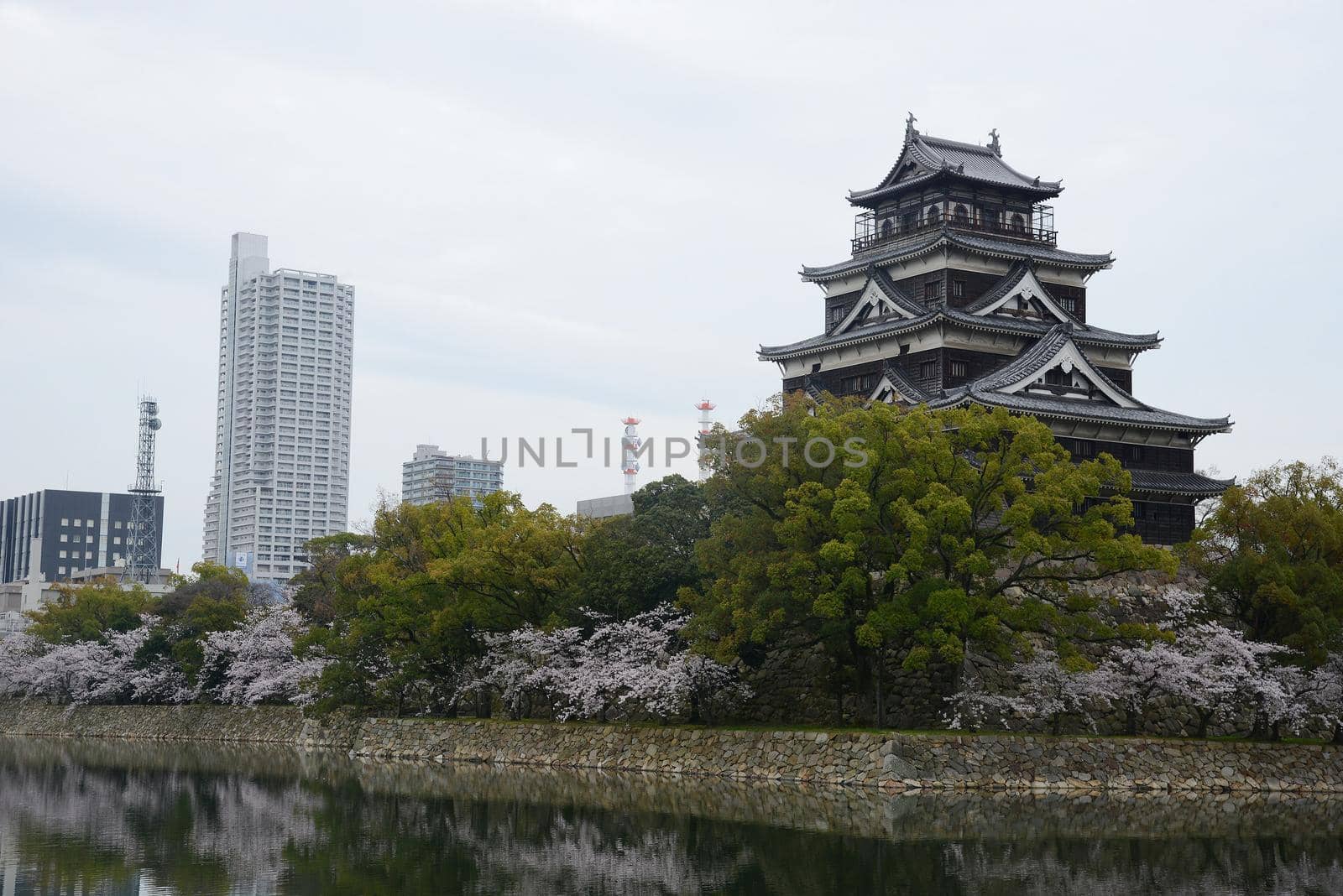 hiroshima castle with cherry blossom